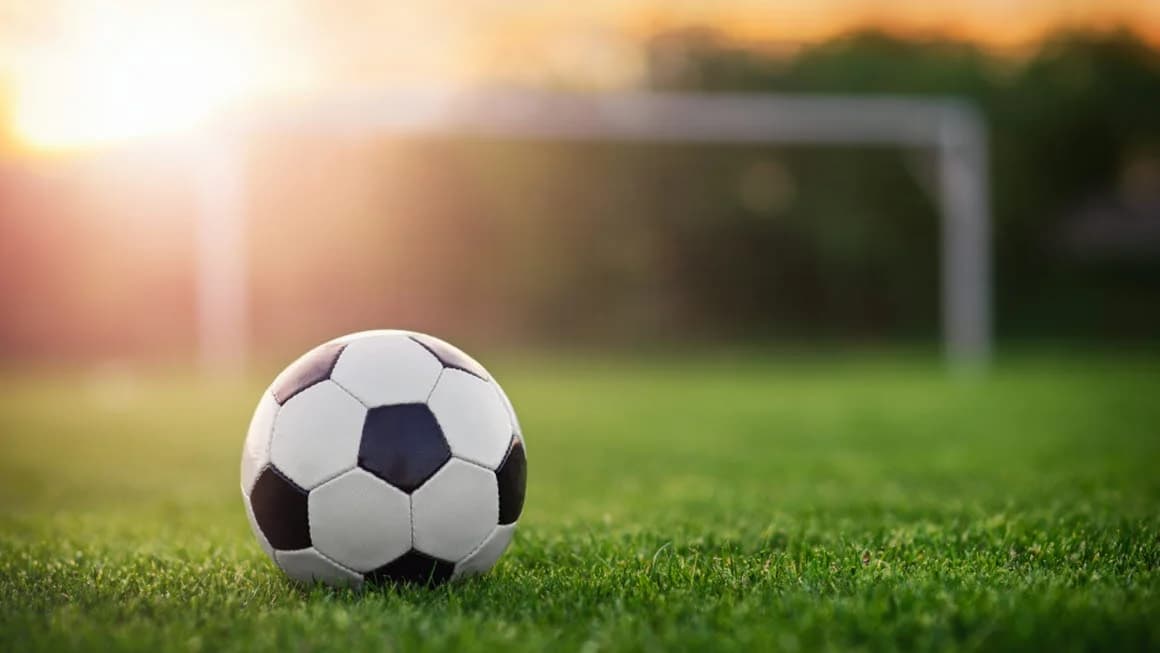 Internasjonal cup